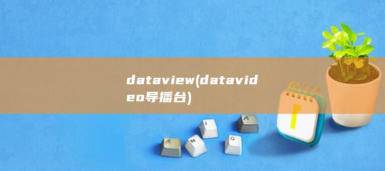 dataview (datavideo导播台) 第1张