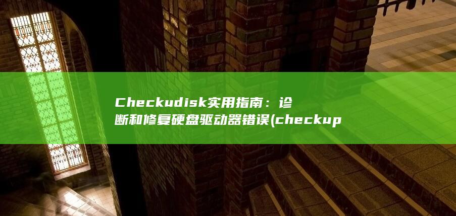 Checkudisk 实用指南：诊断和修复硬盘驱动器错误 (checkup)