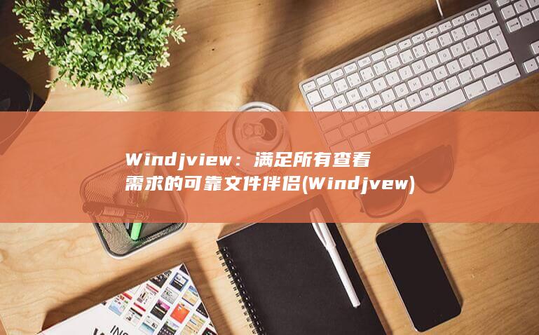 Windjview：满足所有查看需求的可靠文件伴侣 (Windjvew)