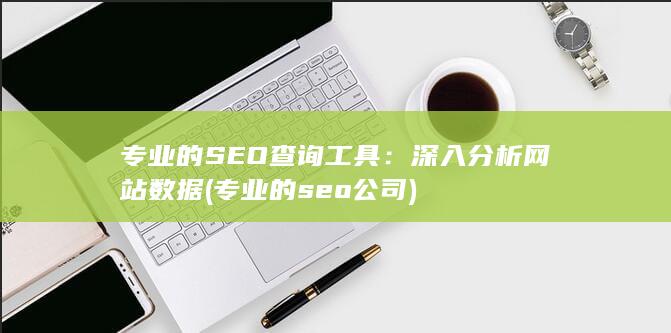 专业的SEO查询工具：深入分析网站数据 (专业的seo公司)